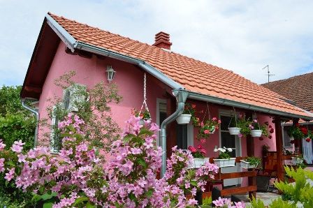 banja vrdnik apartmani drenka